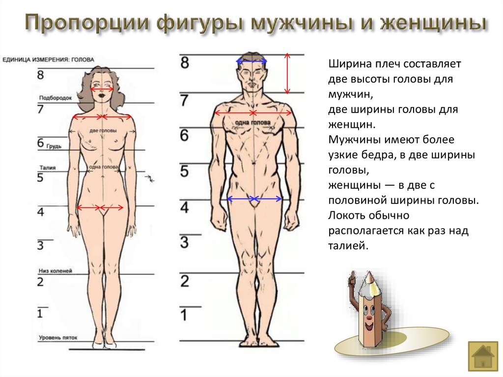 Фото идеальное женское телосложение