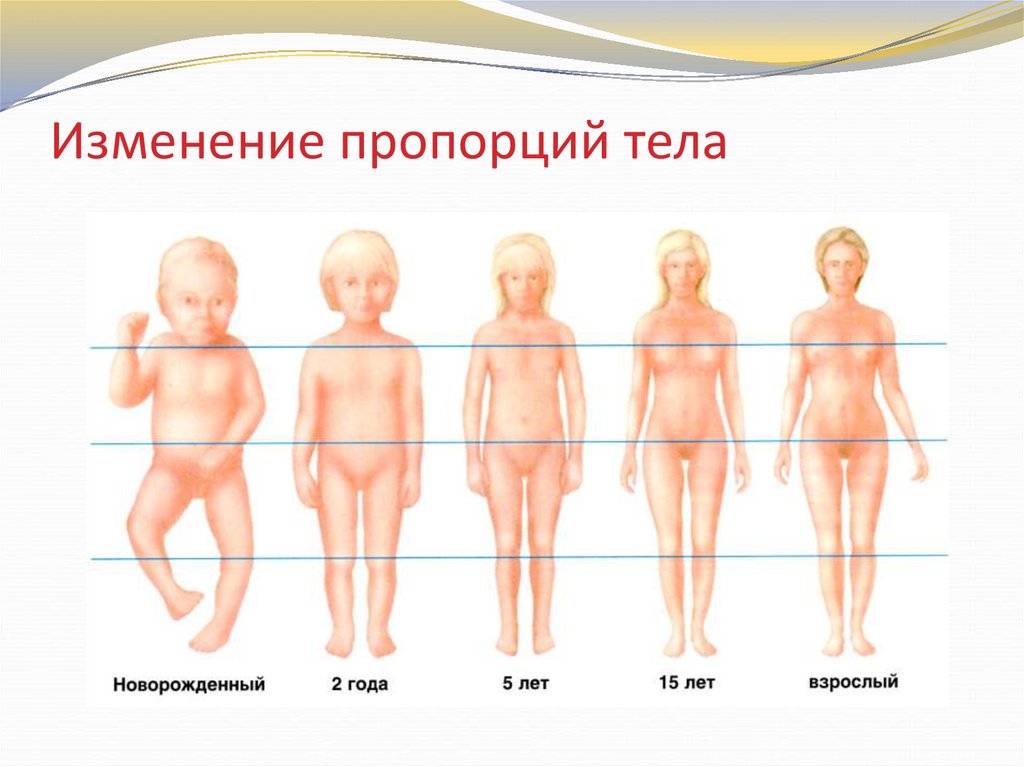 Изменить пропорции картинки