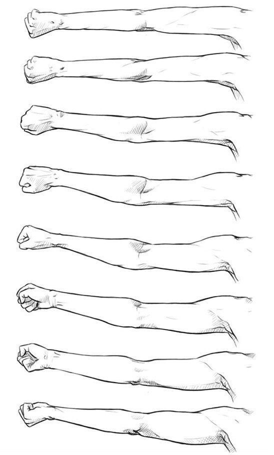 Рука согнутая в локте рисунок