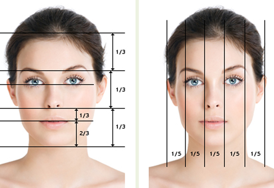 Соотношения фотографий. Нормальные пропорции лица. Идеальное соотношения лица. Золотое сечение пропорции лица. Правильные пропорции лица.
