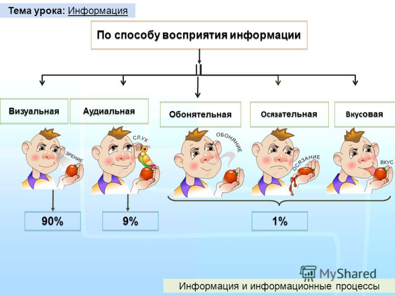 Диаграмма восприятия информации человеком