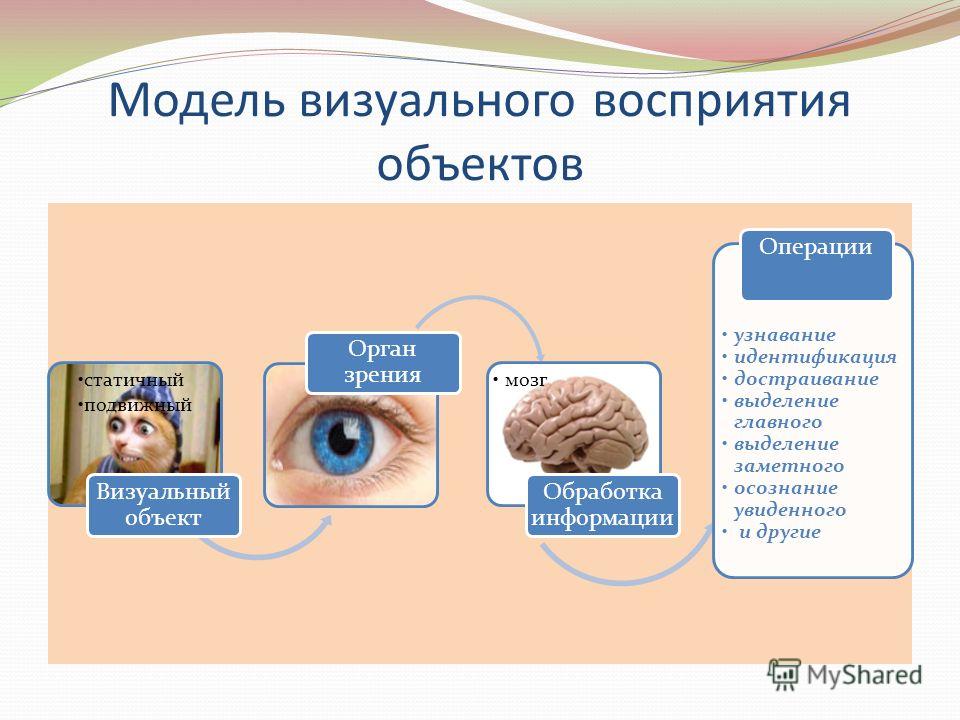 Органы которыми человек воспринимает информацию. Визуальное восприятие. Обработка визуальной информации. Восприятие информации визуально. Визуальное восприятие информации человеком.