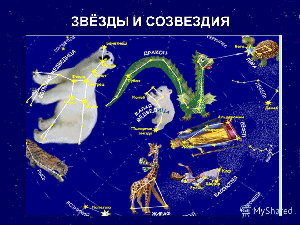 Какие есть созвездия. Звезды и созвездия. Созвездия и их названия. Созвездия на небе и их названия. Рисунки созвездий и их названия.