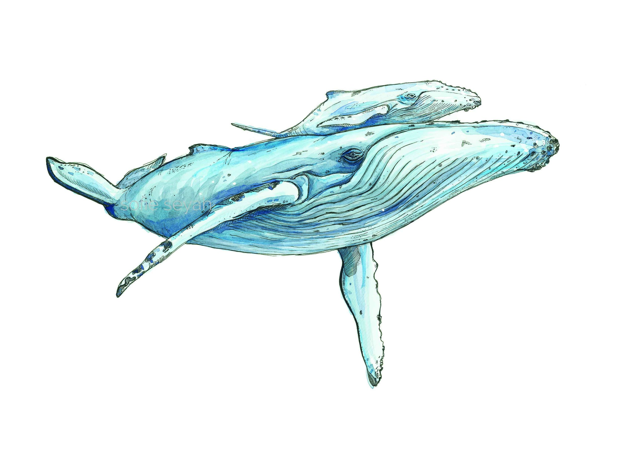 Синий кит акварель