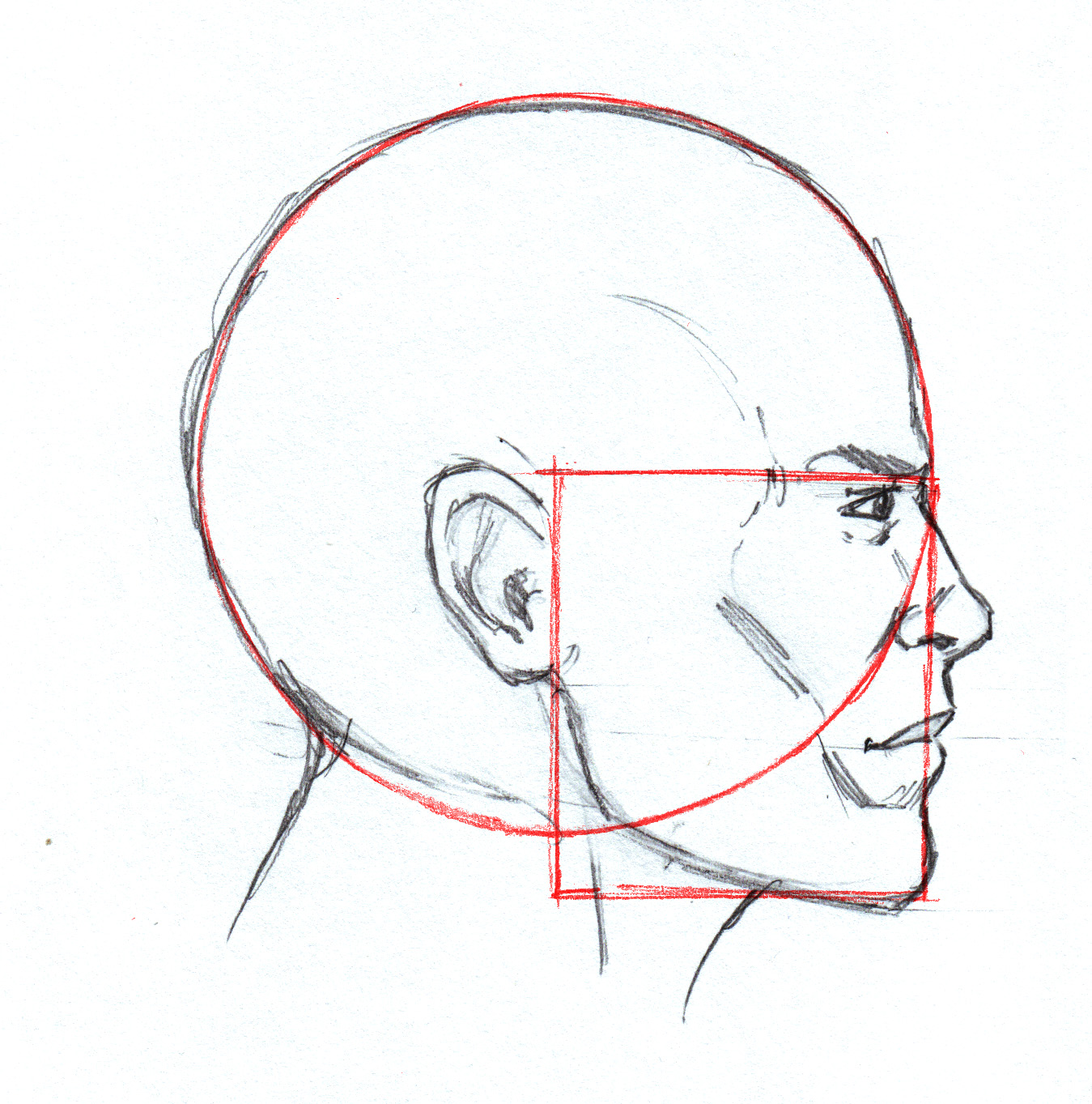Как нарисовать лицо сбоку