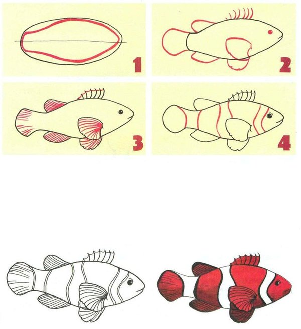 Как нарисовать рыбу поэтапно