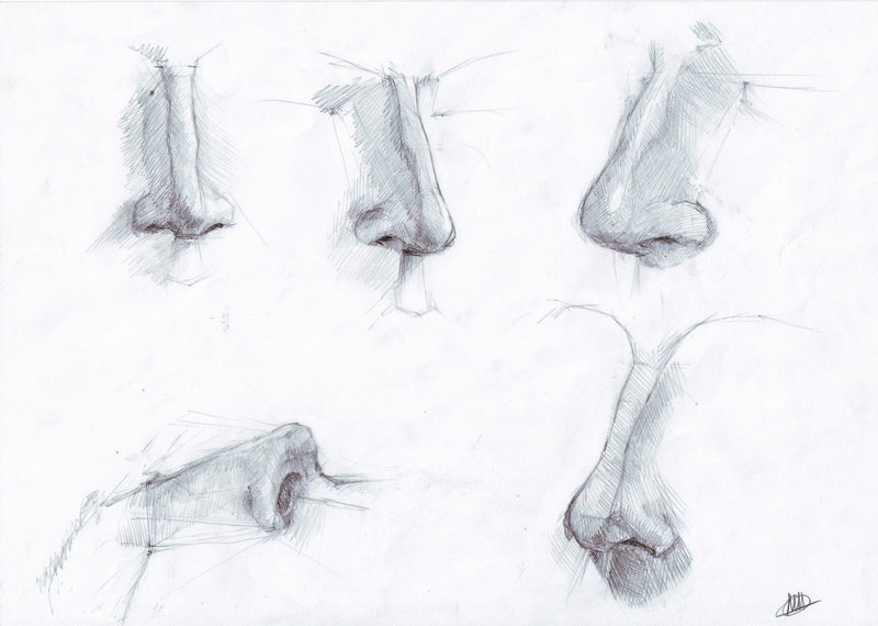 Нос рисунок карандашом. Наброски носа. Нос карандашом. Зарисовки носа карандашом. Нос эскиз.