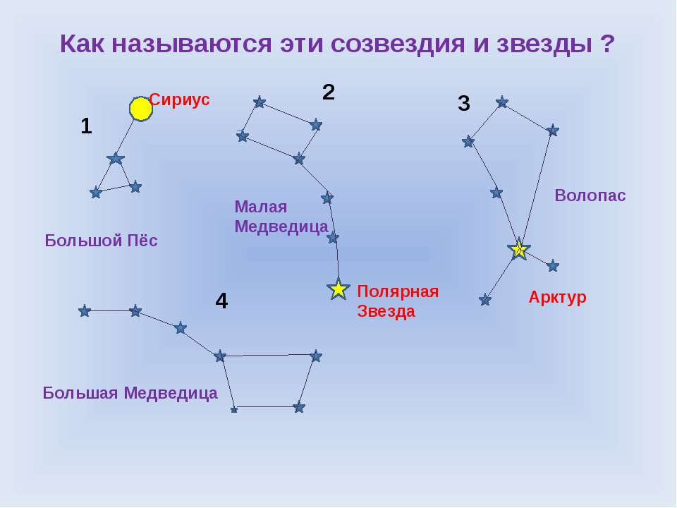 Какие звезды в созвездии. Малая Медведица Полярная звезда и Сириус. Большая Медведица название звезд на схеме. Созвездия малая Медведица и большой пёс. Схемы созвездий для детей.