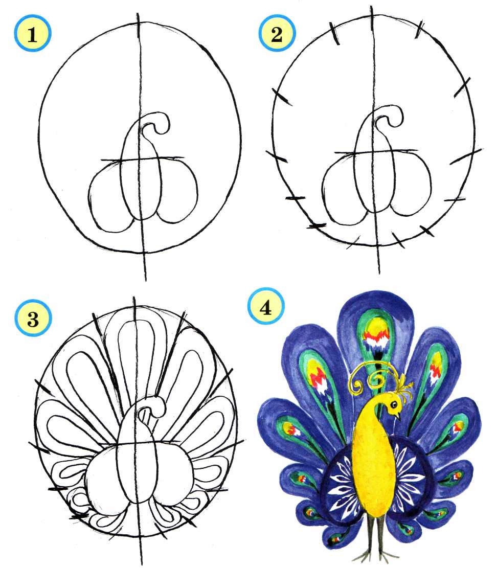 Как нарисовать птицу в coreldraw