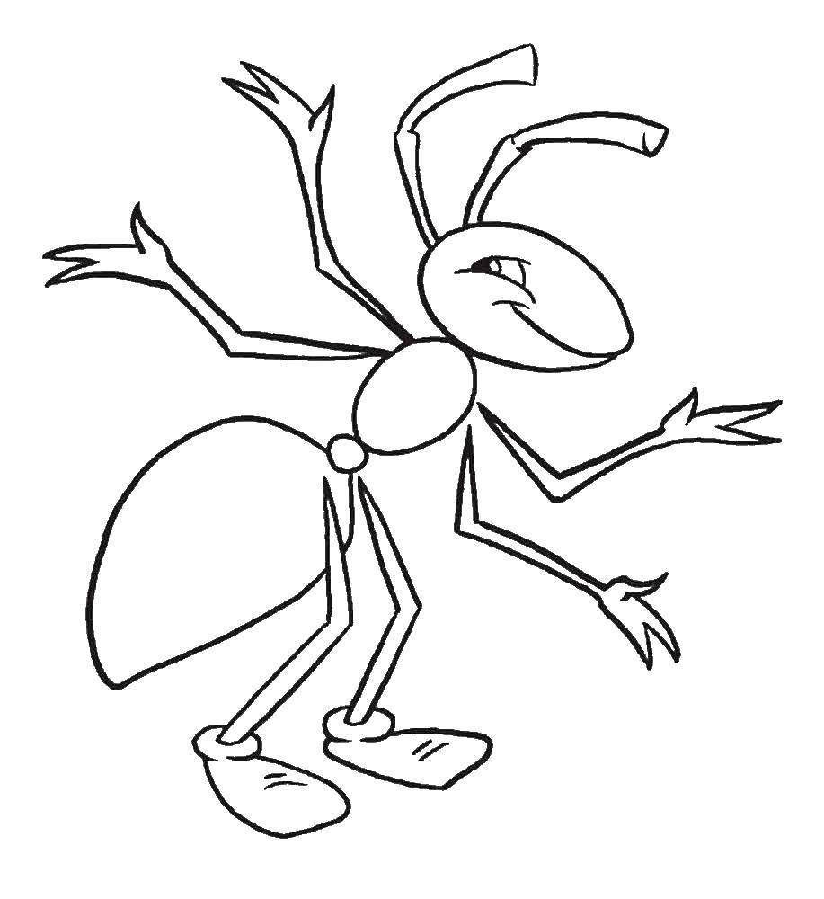 Раскраска муравьишка для детей