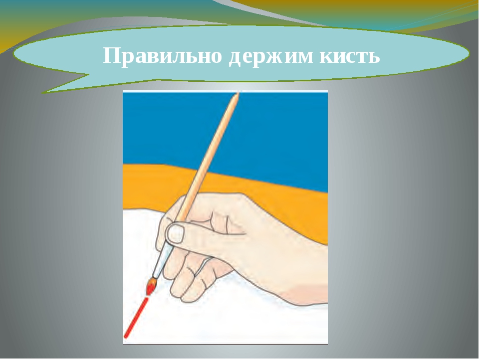 Как правильно дер. Правила рисования кистью для дошкольников. Как правильно держать кисточку. Как правило держать кисайку. Как правильно держать кисть для рисования.