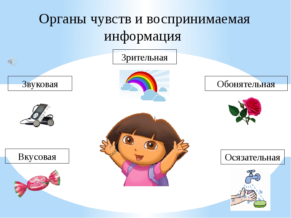 Ms powerpoint как называется визуальная единица презентации