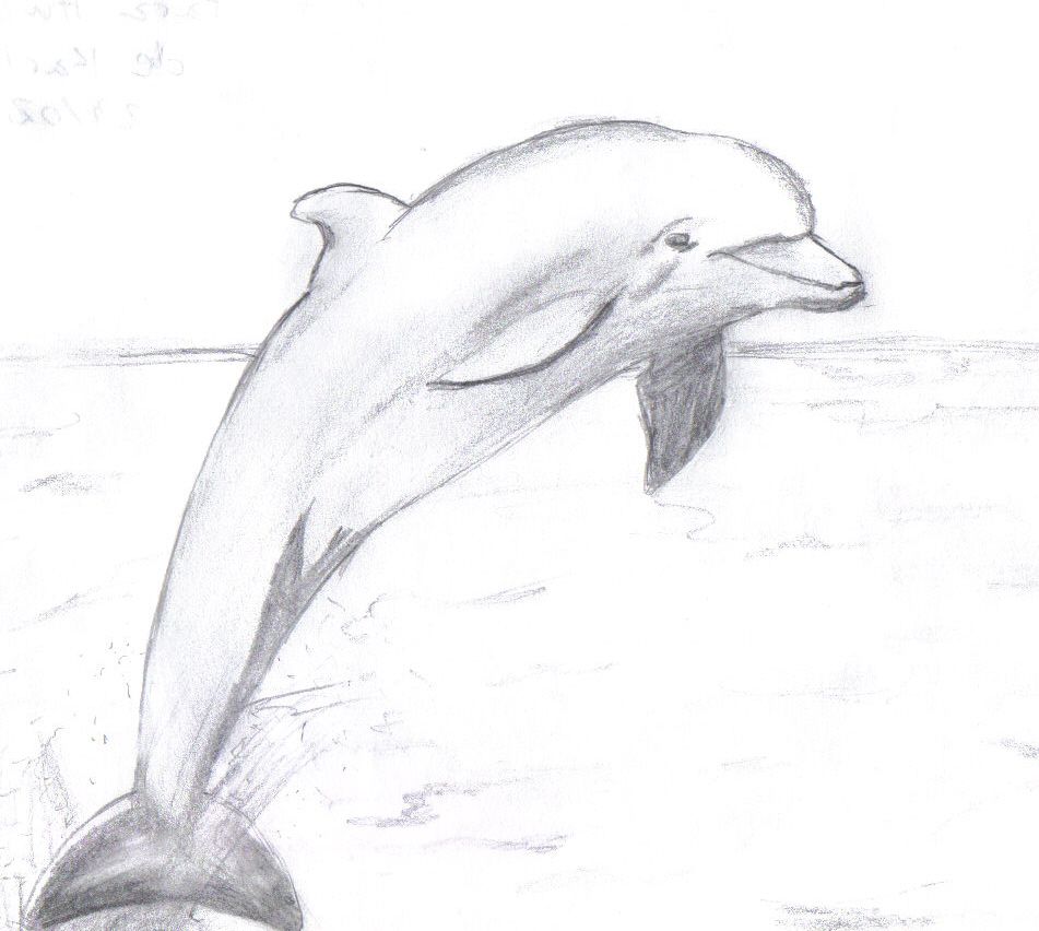 Рисунки на свободную тему легкие 6 класс. Красивые рисунки на свободную тему. Дельфин для рисования. Дельфин карандашом. Дельфин рисунок.