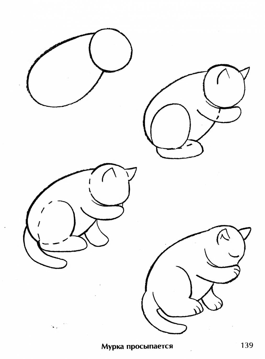 Легкие картинки карандашом для срисовки для начинающих легкие животные