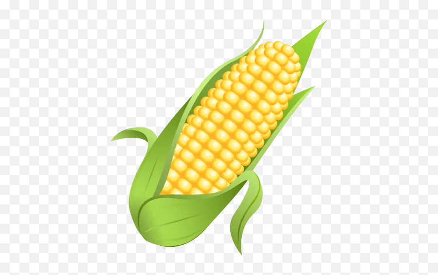 Кукуруза картинки на прозрачном фоне. Смайл кукуруза. ЭМОДЖИ кукуруза. Кукуруза картинка для детей. Дети кукурузы.