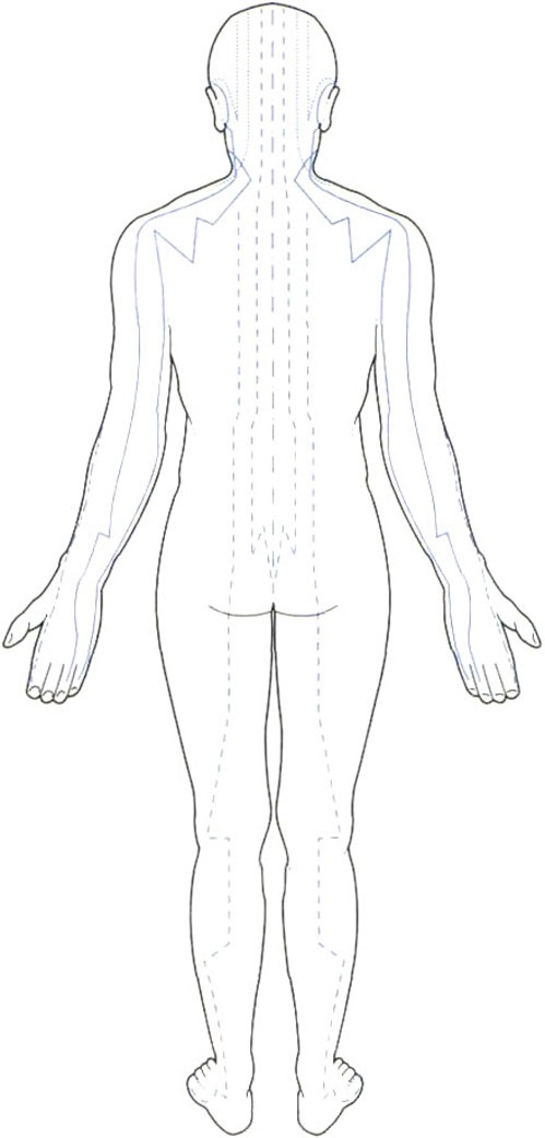 Рисунок человека с органами в полный рост