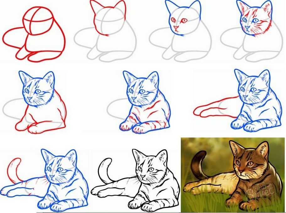 Как нарисовать кошку для детей