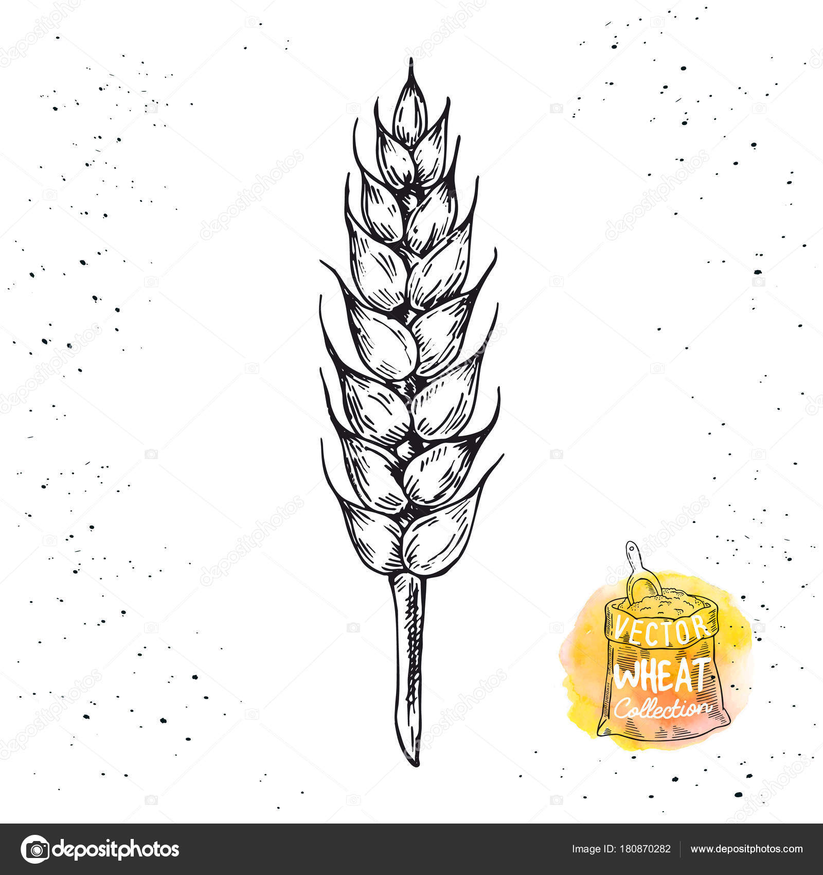 Как рисовать пшеницу