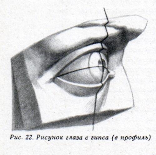 Глаз давида построение Рисование глаза Artisthall Художественная мастерская Уроки рисования 