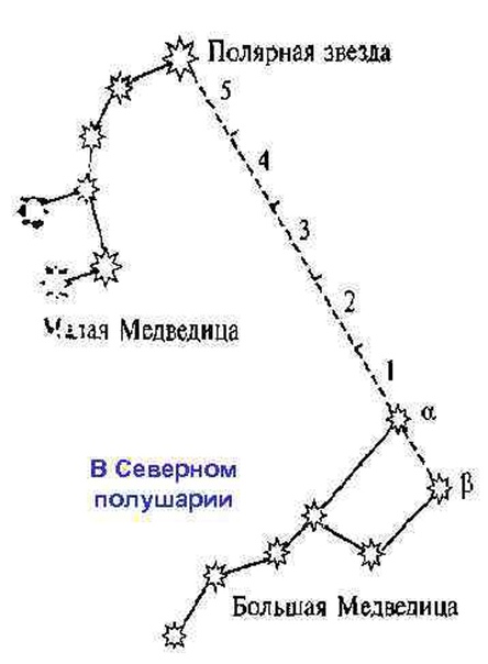 Сколько полярных звезд. Схема нахождения полярной звезды. Большая и малая Медведица Полярная звезда. Полярная звезда в малой Медведице. Созвездие малой медведицы.