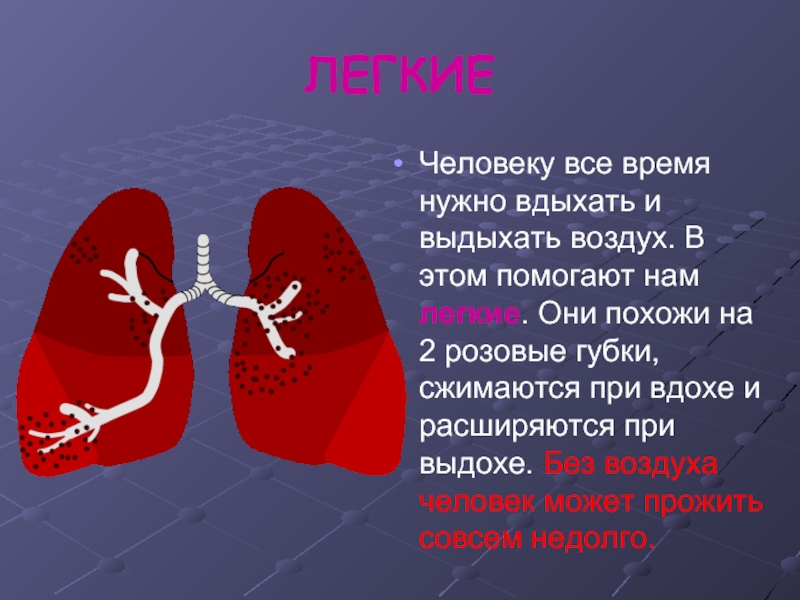 Самые легкие презентации