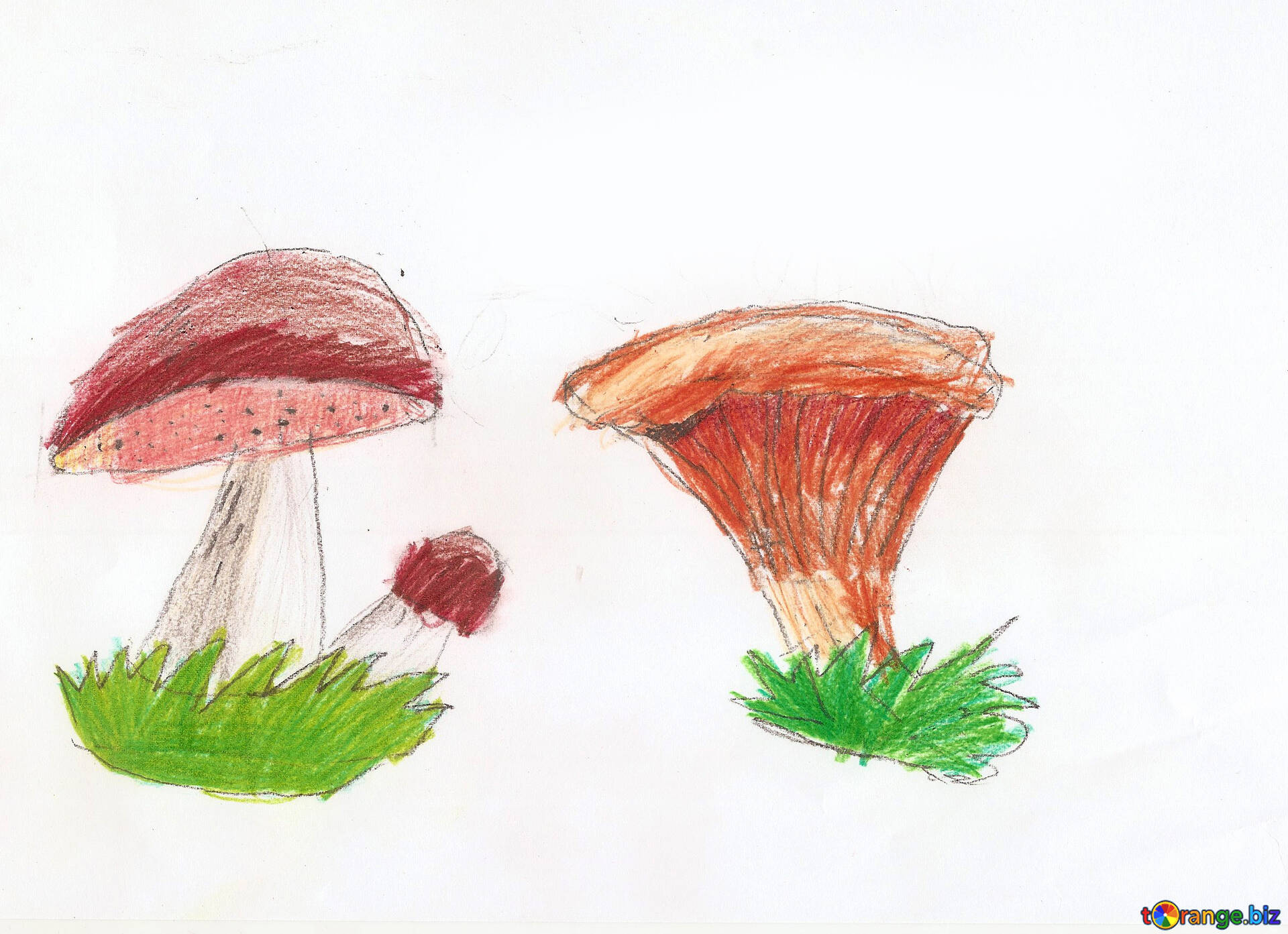 Детские рисунки грибов