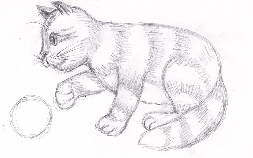 Кошка рисунок карандашом легкий
