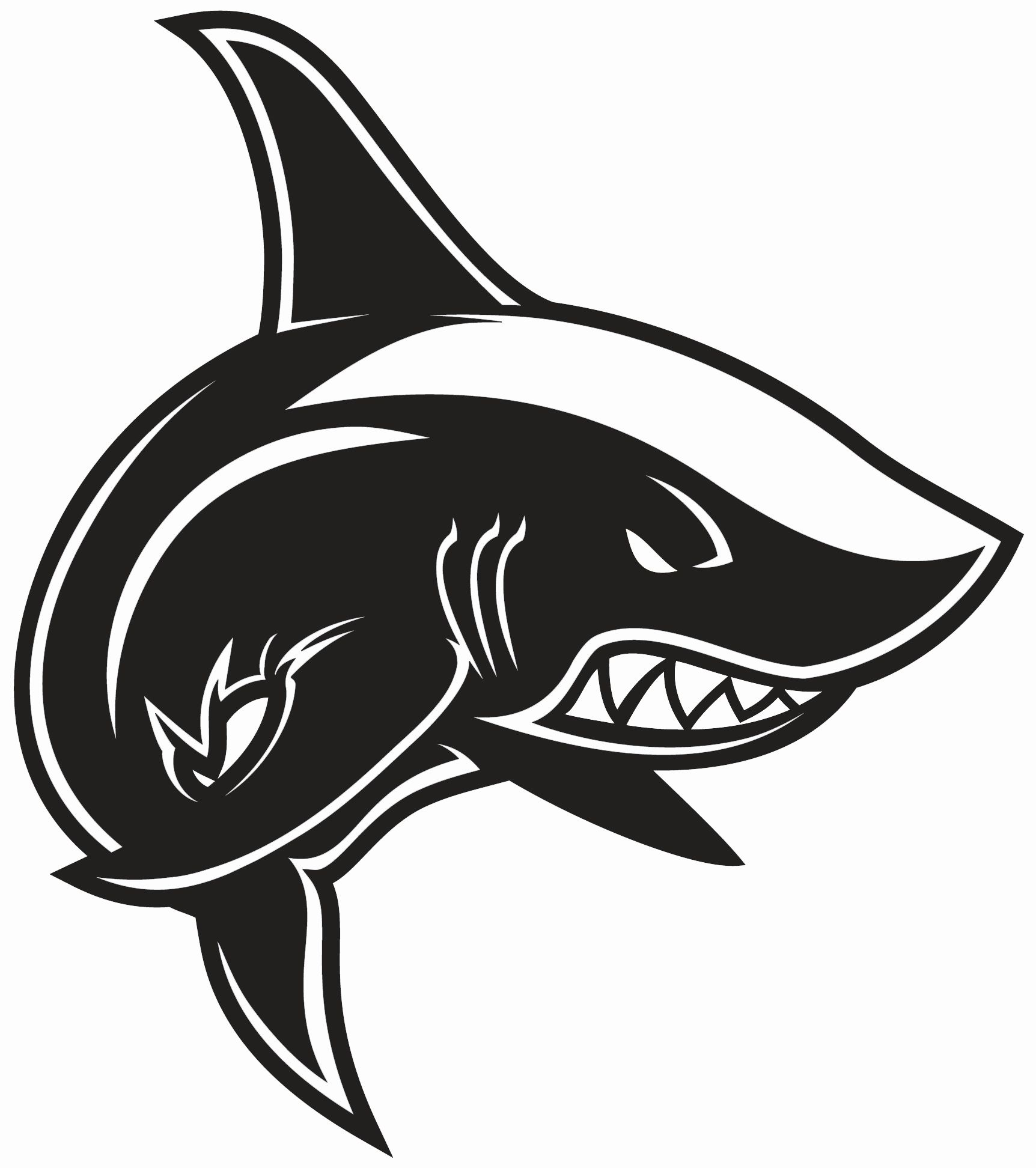 акула и человекВидео по теме: белая акулаБольшая белая акула (Кархародон).П...