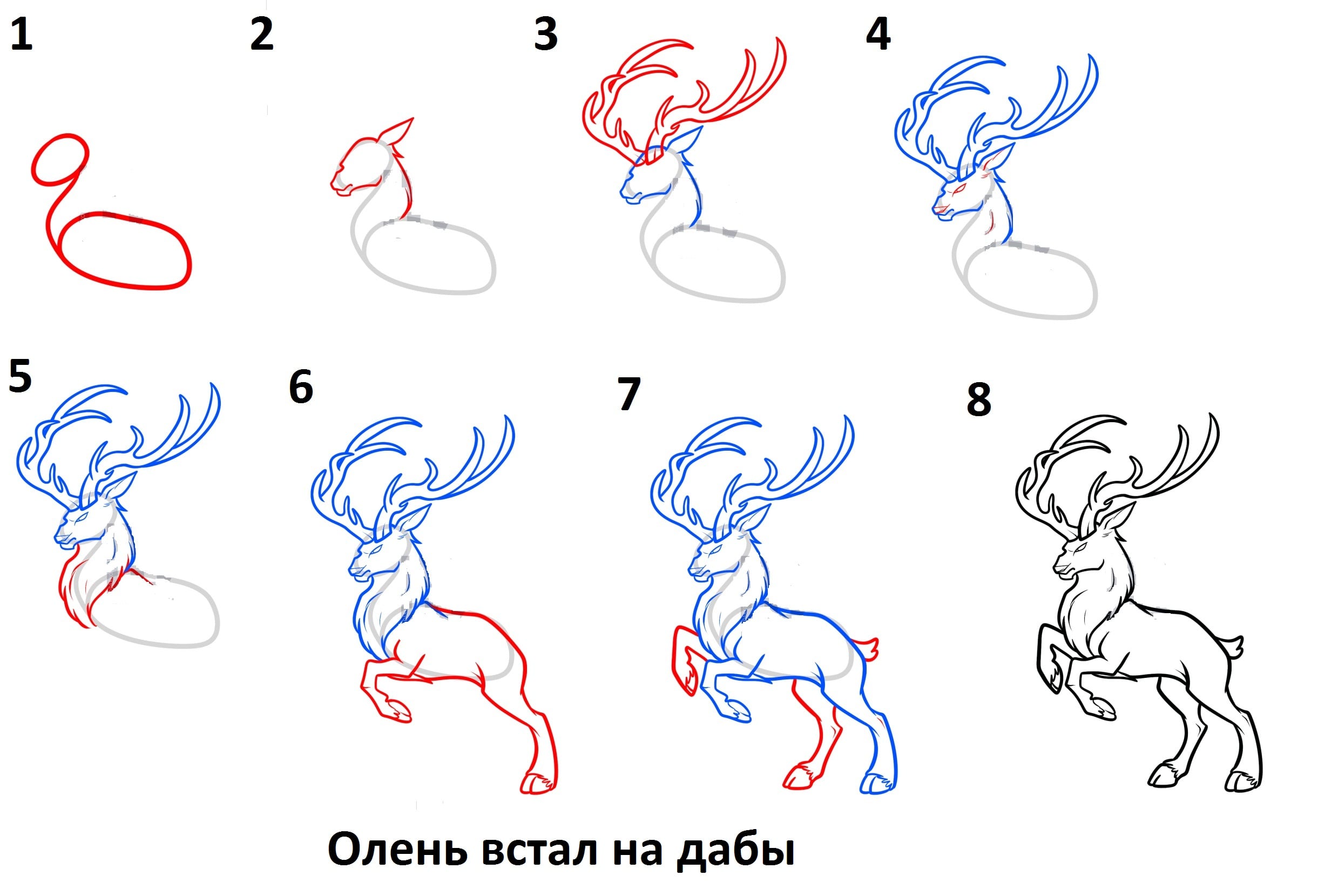 Пошаговые Картинки Для Рисования