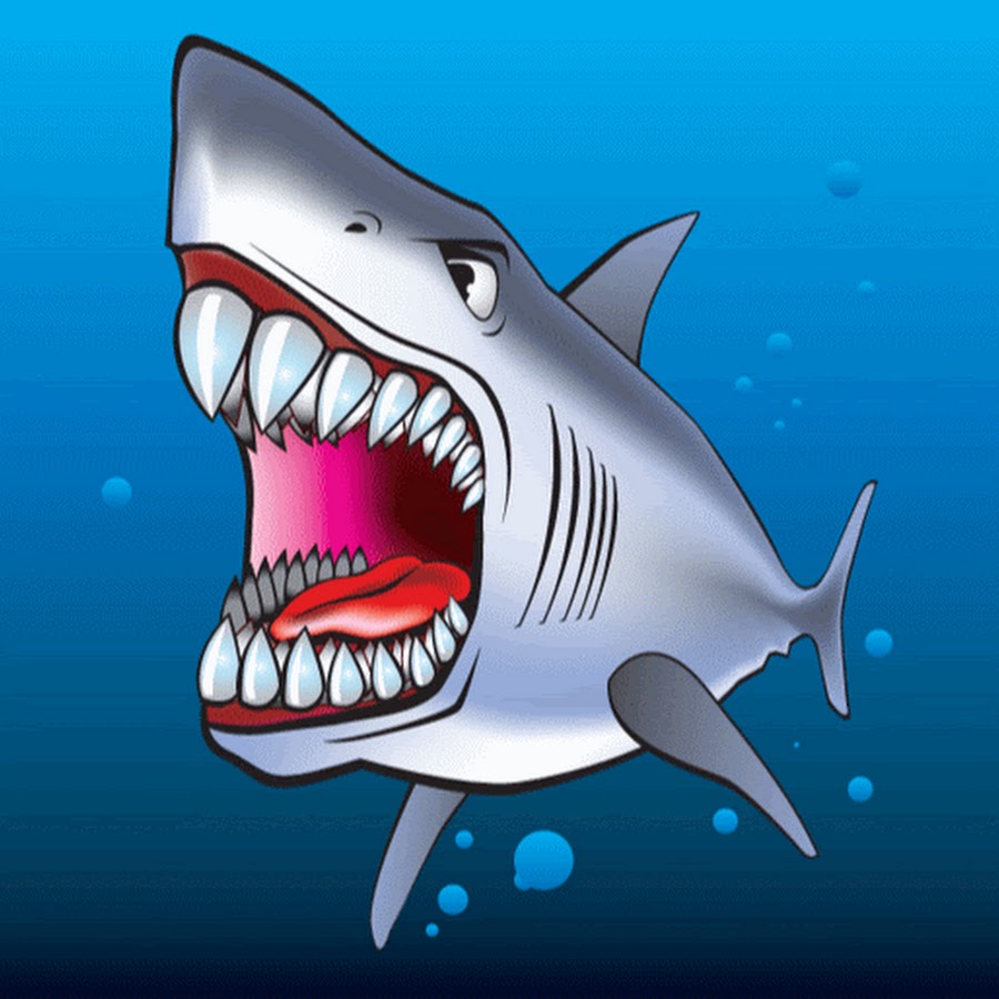 Картинка акулы для детей: Рисунки акулы карандашом для детей (22 фото) 🔥 П...