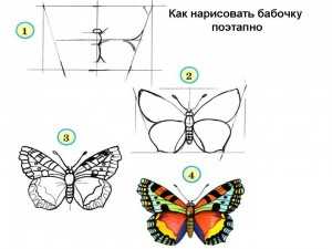 Схема рисования бабочки для детей