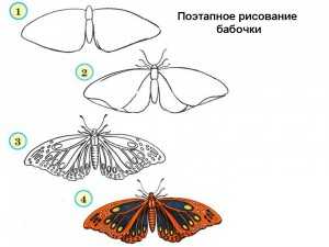 Схема рисования бабочки для детей