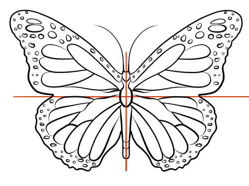 Нарисовать бабочку пошагово