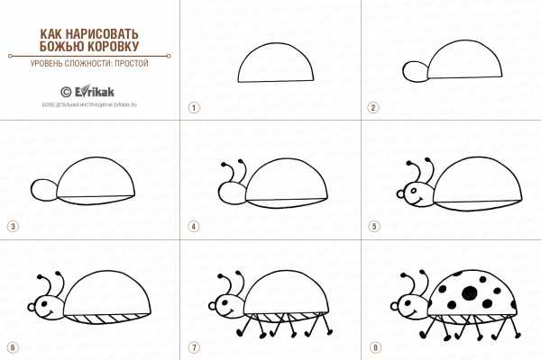 Божья коровка на камне рисунок для сада