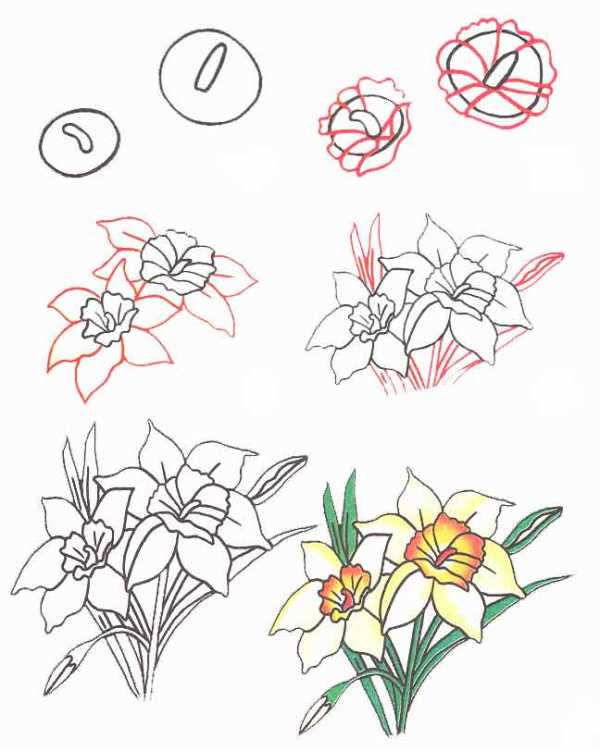 Как нарисовать цветок ирис пошагово