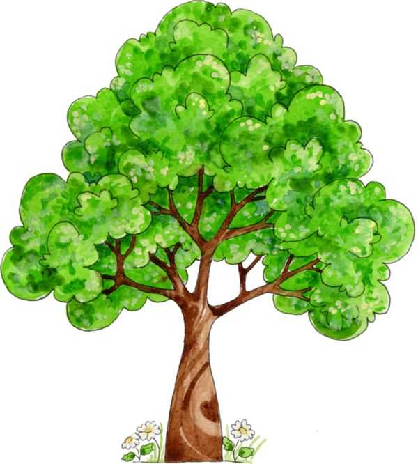 Дерево картинка для рисования