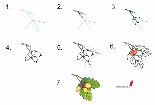 Дерево клен как рисовать