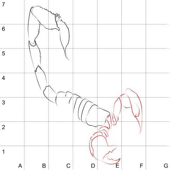 Нарисовать скорпиона карандашом поэтапно