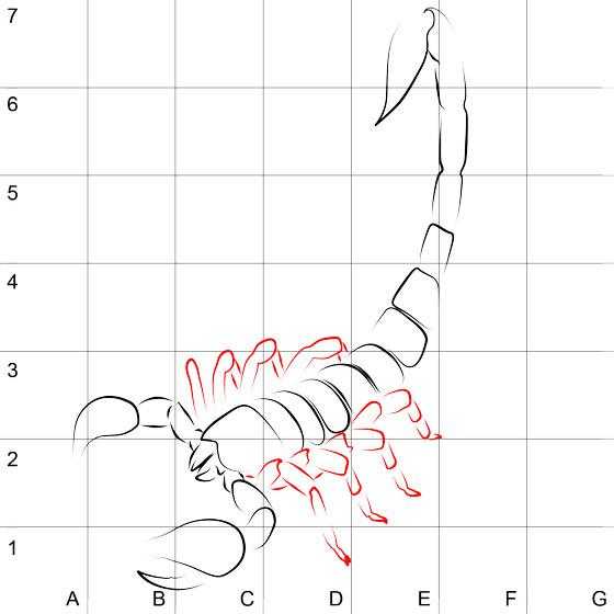 Как нарисовать скорпиона карандашом