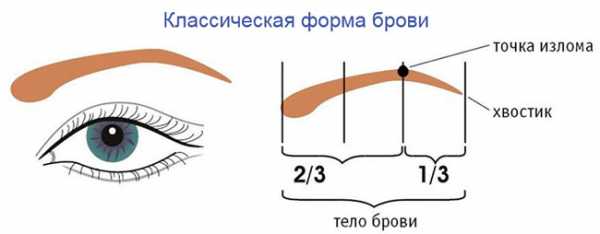 Как нарисовать брови карандашом поэтапно на лице для начинающих схемы