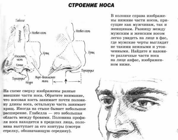 Как нарисовать человека стоящего на коленях