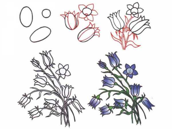 Нарисовать цветы карандашом 1 класс для детей