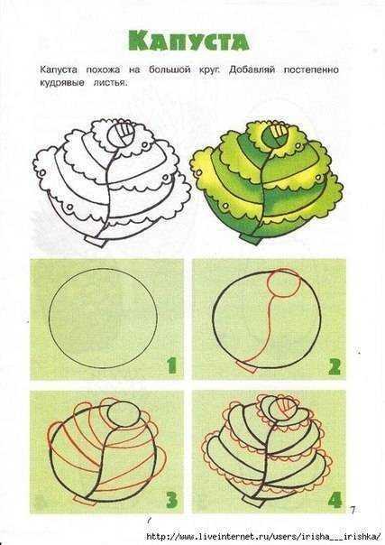 Как нарисовать овощи для детей