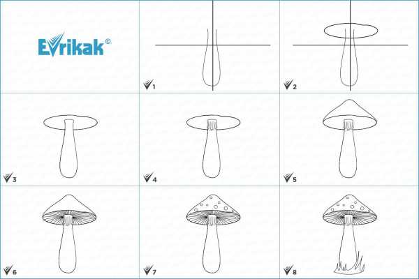 Гриб как рисовать поэтапно