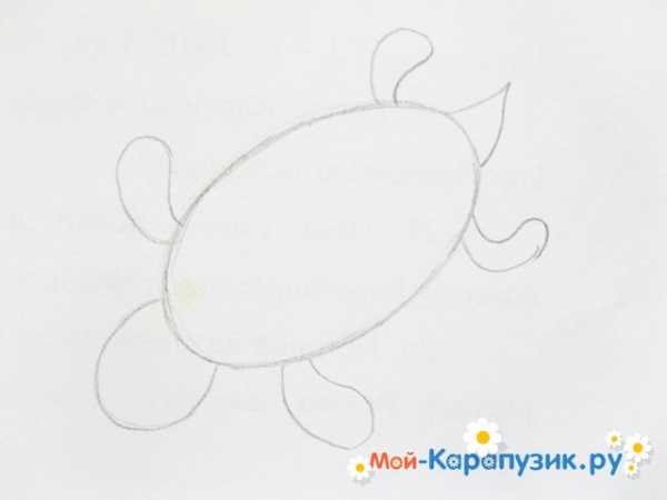 Turtle как нарисовать круг