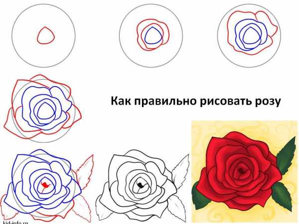 Как нарисовать маленькую розу