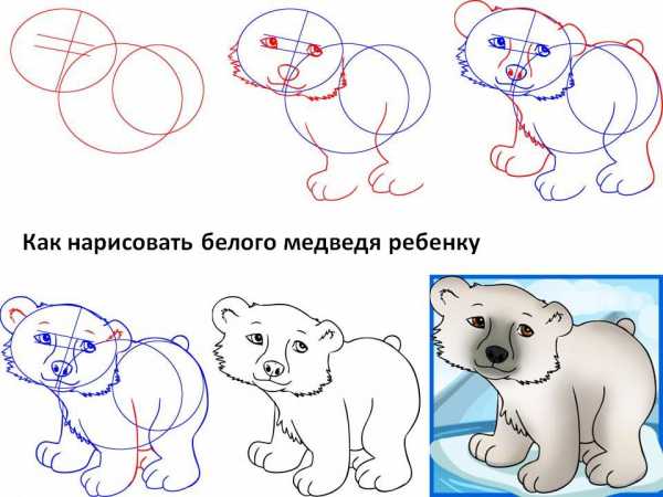 Рисуем медведя поэтапно для детей 4 5