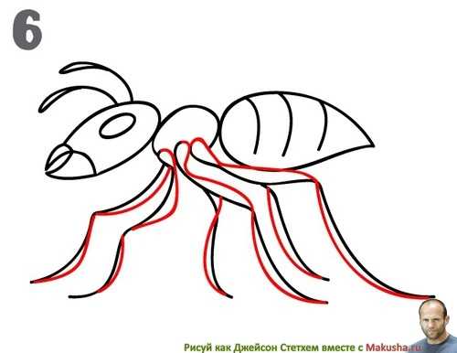Как рисовать муравья для детей