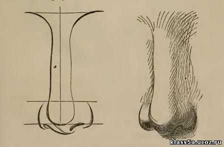 Как нарисовать нос девушки