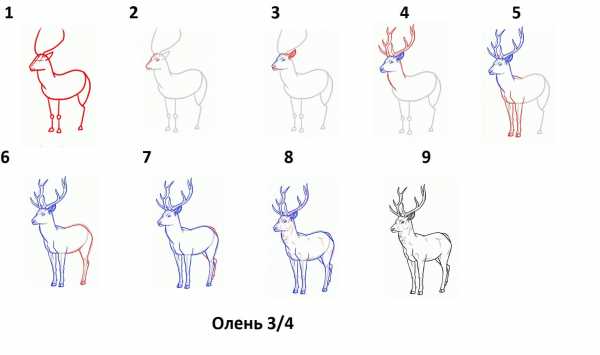 Определите информационный объем графического изображения смотри рисунок 32х31 рисунок оленя